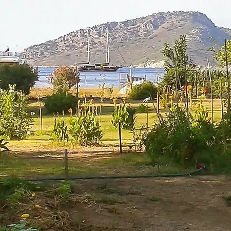 مكان تخييم Kocabahce Glamping *