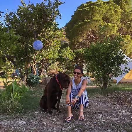 Kocabahce Glamping Кемпинг