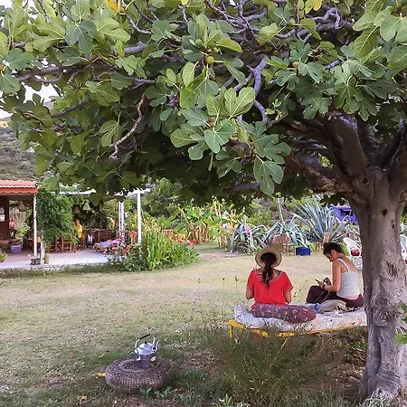 Kocabahce Glamping Marmaris
